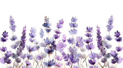 Tender watercolor lavender flowers border on white background, perfect for wedding invitations or delicate stationary design. - obrazy, fototapety, plakaty