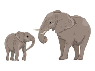African elephant with calf. Realistic vector animal of Africa