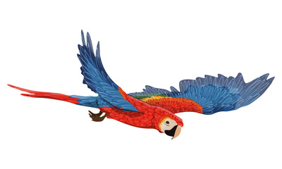 Scarlet macaw parrots flies with its wings spread. Realistic Vector South American and Caribbean Jungle Bird
