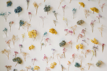 A collection of dried flowers in various colors is meticulously organized on a white surface. The...