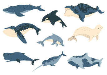 Marine animals and fish, whales, dolphins