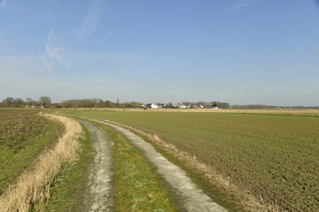 Obraz premium Chemin entre les champs sous un ciel bleu à Ghislenghien (Ath)