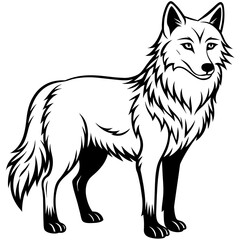 Fototapeta premium Wolf side head vector illustration. 