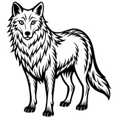        Wolf side head vector illustration.
