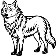        Wolf side head vector illustration.
