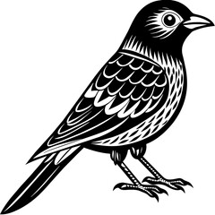 Fototapeta premiumBird vector illustration