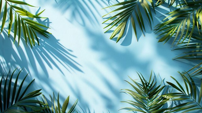 Peaceful vibes in a modern office setting.