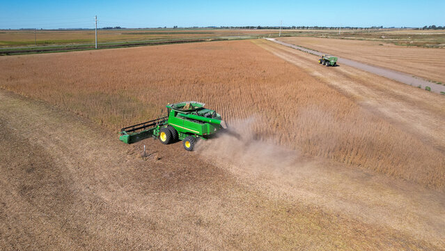 Aerial view of combine harvesters working during the harvest season in a large field of ripe wheat in Argentina.