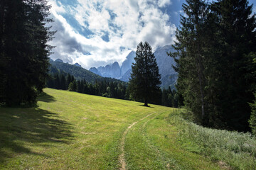 Fototapeta na wymiar inquadratura panoramica con vista su parte della bellissima Val Saisera e del suo naturale ambiente di montagna, nel nord-est Italia, con le sue ampie foreste e alte montagne, di giorno, in estate