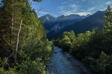 vista panoramica su parte dell'ambiente naturale di montagna della Val Saisera, nel nord-est...