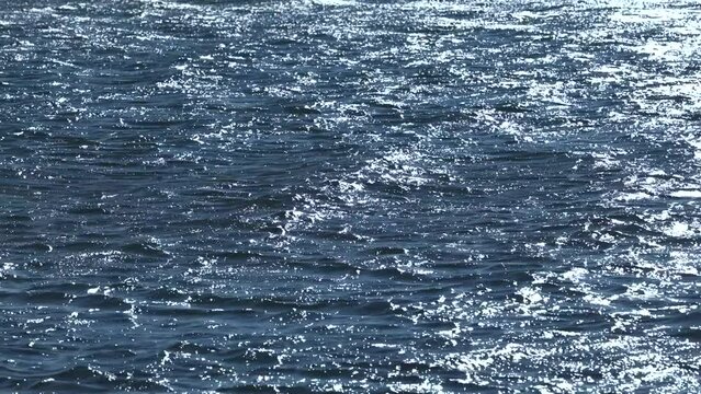 ripresa video in tempo reale, che mostra in primo piano una superficie d'acqua di un fiume, color blu, mossa ed increspata dalle onde ed illuminata dalla luce del sole, di giorno
