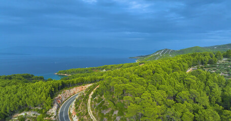 AERIAL: Winding seaside road cutting through a lush green Mediterranean forest.