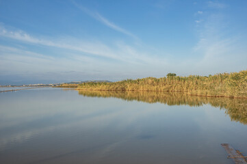 Landscape Molentargius Regional Natural Park in Cagliari City Sardinia