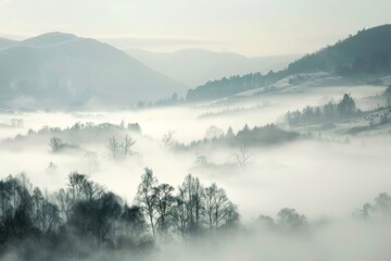 Obraz na płótnie Canvas Wisps of fog in a misty landscape