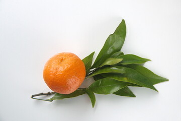 Mandarin fruit with leaves, on light background, the mandarin orange, Citrus reticulata