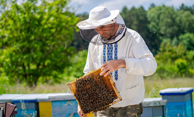 A man in a white hat and a white jacket is holding a box of bees. Concept of hard work and...