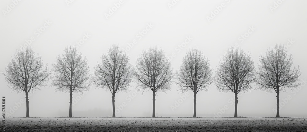 Poster a row of trees are lined up in a field, with the sky in the background
