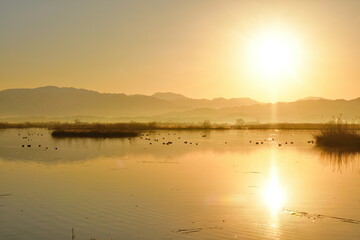朝の福島潟（新潟県）