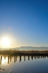 朝の福島潟（新潟県）