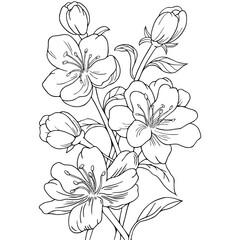 a bouquet of peonies as a coloring book