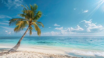 Fototapeta na wymiar Luxurious tropical landscape. White sand with palm trees and azure sea. A heavenly place to relax. Beautiful exotic summer beach background for design.
