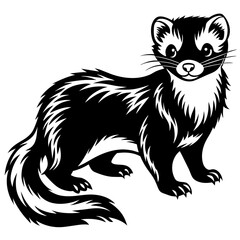 Obraz premium Angora Ferret vector silhouette 