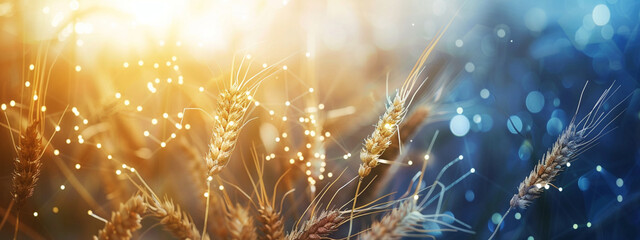 Touching sustainability: Futuristic ears of wheat combine nature and digital transformation.