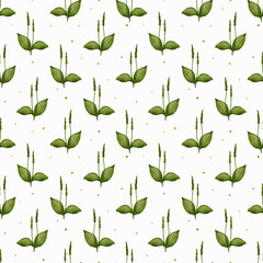 Plantain. Seamless pattern with plantain. For cosmetic and medical packaging, textiles, stationery and scrapbooking.