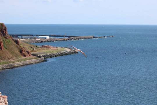 K&uuml;ste von Helgoland