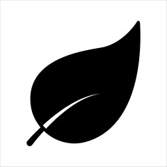 Fototapeta premium leaf icon, leaf icon vector, in trendy flat style isolated on white background. leaf icon image, leaf icon illustration