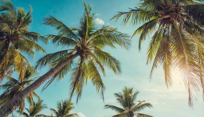 Fototapeta na wymiar blue sky and palm trees view from below vintage style tropical beach and summer background