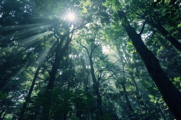 2021-11-10 A LARGE BLOOMING EARPOD TREE ON KAUAI HAWAII WITH RAIN CLOUDS MOVING IN. Beautiful simple AI generated image in 4K, unique.