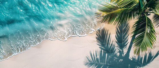 Summer and holiday background with palm leaf on tropical long beach and in nature lighting.banner wallpaper design - obrazy, fototapety, plakaty