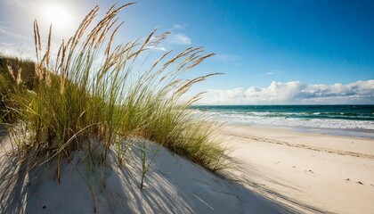 dune grass on the beach generative ai