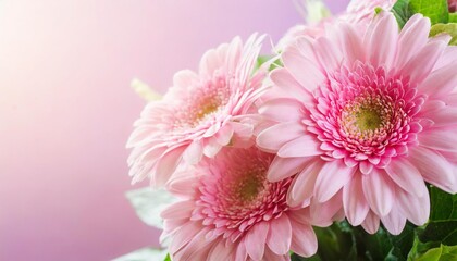 beautiful delicate blurred pink background