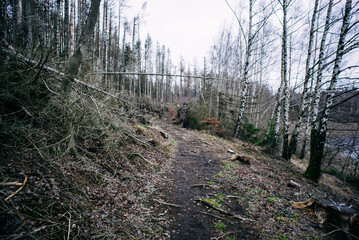 Palermo, Teatro Massimo, Italy, Sicily