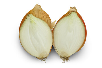 One large head of onion cut in half isolated on a transparent background.