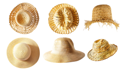 A collection of six different types of straw hats.