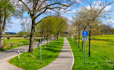 Schmale Landstraße mit separatem Rad und Fußweg, Rügen, mecklenburg-Vorpommern, Deutschland