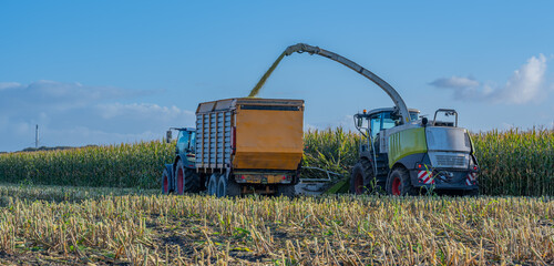 Traktor und Maishäcksler während der Maisernte 
