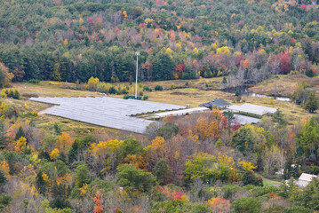 Aerial view of rows of solar panels surrounded by colourful forest in the countryside in autumn