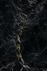 b'Black and gold marble texture background'