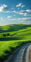 Fototapeta premium b'The road through the green hills'