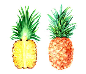 Hand drawn watercolor pineapple fruit whole and half cut illustration set. Tropical exotic fruit for food and drink background.