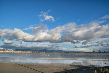 Landscape Molentargius Regional Natural Park in Cagliari City Sardinia