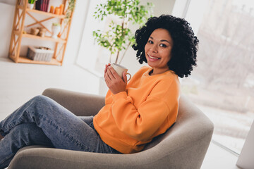 Photo portrait of lovely young lady sit armchair hold coffee dressed casual orange clothes cozy day light home interior living room - obrazy, fototapety, plakaty