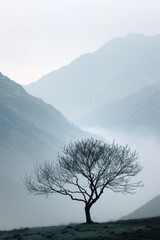 A lone tree standing against a backdrop of misty mountains, its branches swaying gently in the breeze, evoking feelings of introspection and contemplative solitude. 