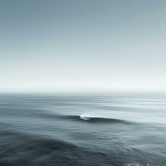 Fototapeta premium b'An ocean wave photographed from above'