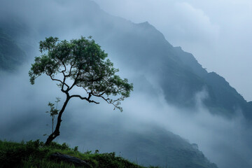 A lone tree standing against a backdrop of misty mountains, its branches swaying gently in the breeze, evoking feelings of introspection and contemplative solitude. 