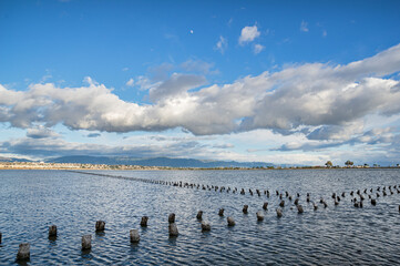 Landscape Molentargius Regional Natural Park in Cagliari City Sardinia